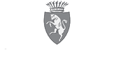 logo torino